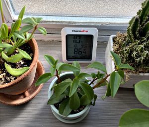 دمای لازم برای گیاهان